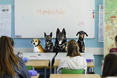 Los perros escolares en Alemania: Grandes colaboradores en la enseanza.
